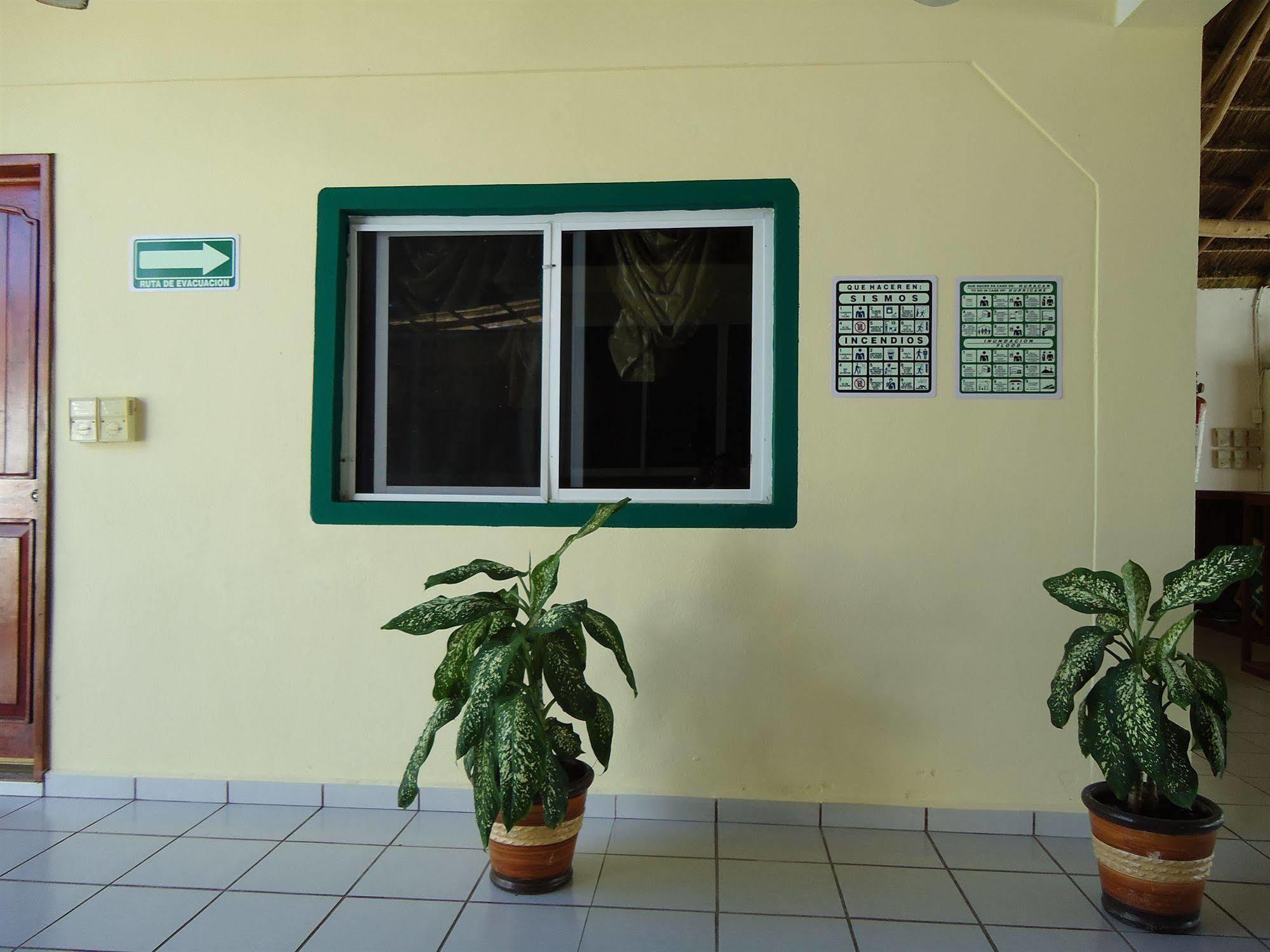 Oyo Hotel Palma Real Tulum Zewnętrze zdjęcie